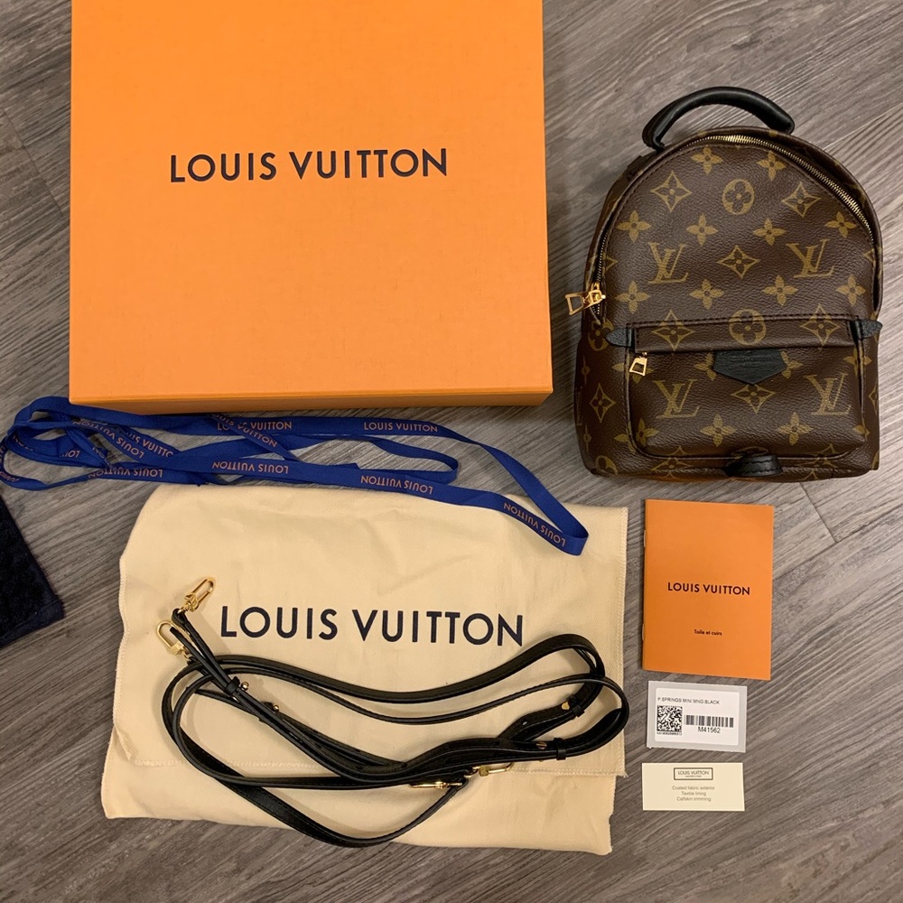 Louis Vuitton Palm Spring Mini